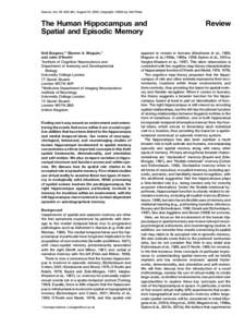 Neuron, Vol. 35, 625–641, August 15, 2002, Copyright 2002 by Cell Press  The Human Hippocampus and Spatial and Episodic Memory Neil Burgess,1,3 Eleanor A. Maguire,2 and John O’Keefe1