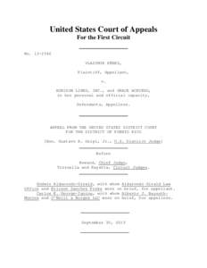 United States Court of Appeals For the First Circuit NoVLADIMIR PÉREZ, Plaintiff, Appellant, v.