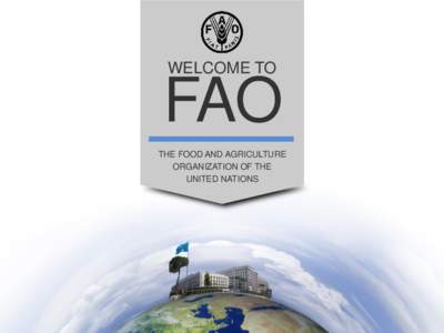 WELCOME TO  FAO THE FOOD AND AGRICULTURE ORGANIZATION OF THE UNITED NATIONS