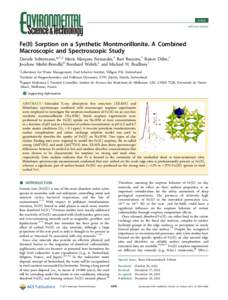 Article pubs.acs.org/est Fe(II) Sorption on a Synthetic Montmorillonite. A Combined Macroscopic and Spectroscopic Study Daniela Soltermann,*,†,‡ Maria Marques Fernandes,† Bart Baeyens,† Rainer Daḧ n,†