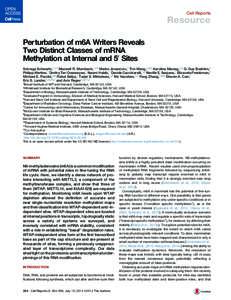 Cell Reports  Resource Perturbation of m6A Writers Reveals Two Distinct Classes of mRNA Methylation at Internal and 50 Sites