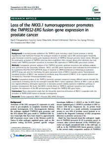 Transcription factors / Molecular biology / ERG / Fusion gene / Promoter / ETS transcription factor family / Prostate cancer / TMPRSS2 / Small interfering RNA / Biology / Gene expression / Genetics