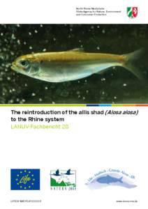 North Rhine-Westphalia State Agency for Nature, Environment and Consumer Protection The reintroduction of the allis shad (Alosa alosa) to the Rhine system