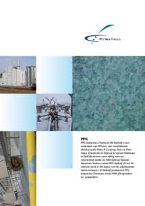 PPG PPG Industries Chemicals BV Delfzijl is een onderdeel van PPG Inc. dat verschillende divisies heeft: Paint & Coating, Glass & Fiber Glass, Chemicals en Optical & Special Materials. In Delfzijl werken ruim vijftig men