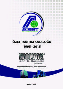 1  Türkiye’de Yazılımın Öncü Firması AKINSOFT Türkiye’de yazılım sektörünün lideri olmak amacıyla 12 Nisan 1995’te Konya merkezli olarak kurulan ve şirketleştiği 4 Aralık 1996 tarihini “Dünya 