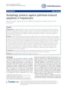 Autophagy protects against palmitate-induced apoptosis in hepatocytes