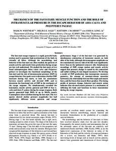 3041  The Journal of Experimental Biology 201, 3041–Printed in Great Britain © The Company of Biologists Limited 1998 JEB1610