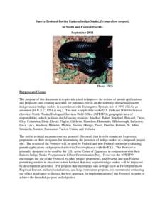 2011 USFWS North Florida ESO Eastern Indigo Snake Survey Protocol