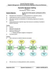 Microsoft Word - 08 Dynamic Decisions 2013.doc