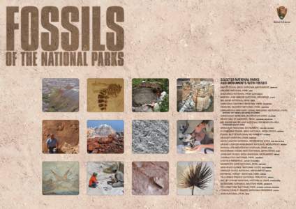 Earth sciences / Historical geology / Zoology / Miocene / Paleozoology / Fossil / Paleontology / John Day Fossil Beds National Monument / Florissant Fossil Beds National Monument / Geology / Geologic time scale / Phanerozoic