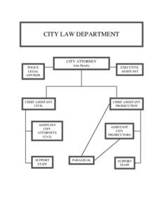 CITY LAW DEPARTMENT  CITY ATTORNEY POLICE LEGAL ADVISOR