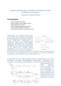    Complexe multi­protéique de biosynthèse de l’ubiquinone : études  biochimiques et structurales  Responsable : Dr. Murielle Lombard   