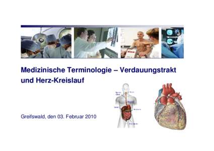 „Analyse und Ableitung von Optimierungspotenzialen für die Notfallambulanz der Thüringen-Kliniken „Georgius Agricola“ Saalfeld“   Informationsbedarfsliste  München, den 14. Juli 2006