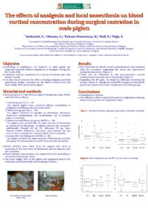 The effects of analgesia and local anaesthesia on blood  cortisol concentration during surgical castration in  male piglets *1  1