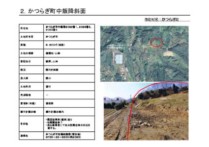 ２．かつらぎ町中飯降斜面 市町村名：かつらぎ町　　　　　　 所在地 　かつらぎ町中飯降２０８２番１、２０８３番３、 　２０８３番５