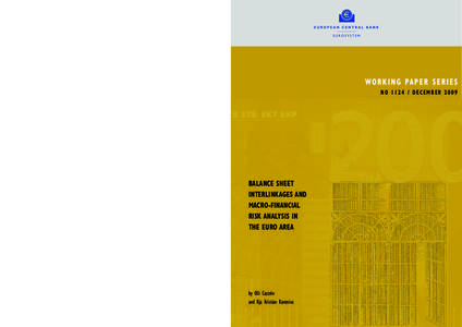 Balance sheet interlinkages and macro-financial risk analysis in the euro area