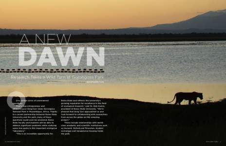 A NEW  DAWN Research Takes a Wild Turn at Gorongosa Park By KATHLEEN TUCK