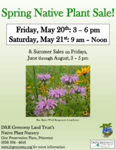 Spring Native Plant Sale!  & Summer Sales on Fridays, June through August, 3 – 5 pm  Bee Balm (Wild Bergamot), Coneflower