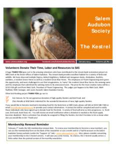 why  Salem Audubon Society The Kestrel