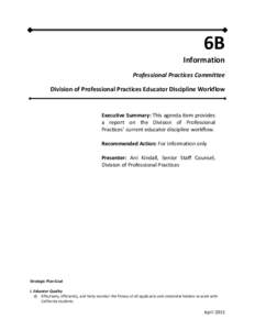 6B  Information    Professional Practices Committee   