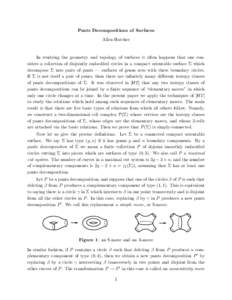 Pants Decompositions of Surfaces Allen Hatcher In studying the geometry and topology of surfaces it often happens that one considers a collection of disjointly embedded circles in a compact orientable surface Σ which de