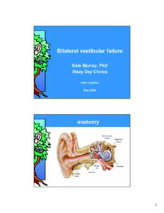 Bilateral vestibular failure Kate Murray, PhD Dizzy Day Clinics Falls Coalition May 2008