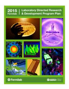    Laboratory Directed Research & Development Program Plan  	
  