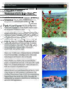 Petrified Forest  Petrified Forest National Park Fast Facts Theodore Roosevelt created Petrified Forest National Monument on Dec. 8, 1906. Petrified Forest was