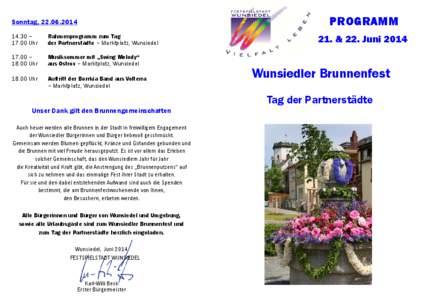 2014 Programm Brunnenfest.pub