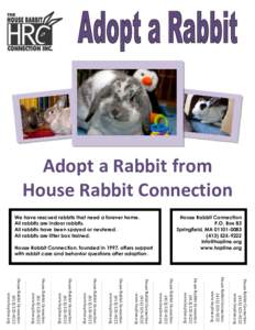 Adopt a Rabbit from House Rabbit Connection House Rabbit Connection P.O. Box 83 Springfield, MA