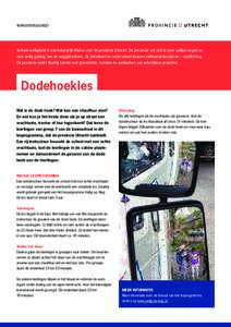 Verkeersveiligheid  Verkeersveiligheid is een belangrijk thema voor de provincie Utrecht. De provincie zet zich in voor veilige wegen en voor veilig gedrag van de weggebruikers. Zij stimuleert en ondersteunt daarom verke