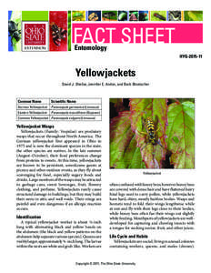 FACT SHEET Entomology HYG[removed]Yellowjackets