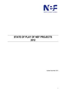 Annex to the Director’s report – current state of play of NEF projects