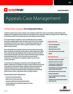 USAGE EXAMPLES  Appeals Case Management Unlimited Types of Appeals. One Configurable Platform. An effective appeals process requires a dynamic case management solution that is able to accommodate standard elements while 