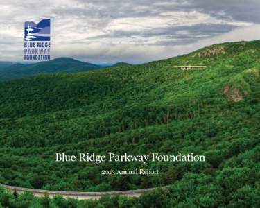 Blue Ridge Parkway Foundation Board of Trustees Broaddus Fitzpatrick, Chair Attorney, Public Policy Consultant, Conservationist Roanoke, Virginia