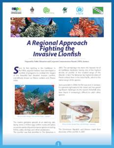 Red lionfish / Caribbean / Trinidad and Tobago / Scorpaenidae / Fish / Pterois