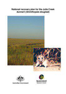 Sminthopsinae / Dasyuridae / Barkly Tableland / Grazing / Sminthopsini / Mammals of Australia / Julia Creek Dunnart / Dunnart
