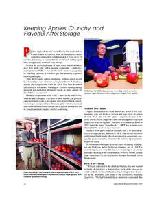 Keeping Apples Crunchy and Flavorful After Storage STEPHEN AUSMUS (D875-3) P