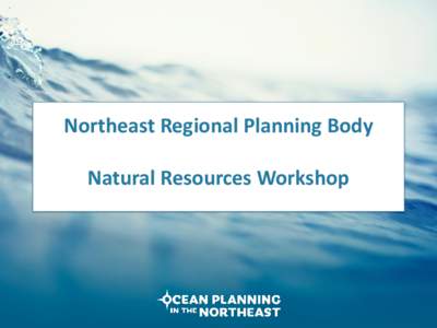 Northeast Regional Planning Body Natural Resources Workshop Meeting Objectives • Inform options for characterizing marine mammal, sea turtle, bird, and fish distribution and abundance for use in ocean planning.