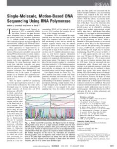 BREVIA Single-Molecule, Motion-Based DNA Sequencing Using RNA Polymerase William J. Greenleaf1 and Steven M. Block1,2* raditional, dideoxy-based (Sanger) se- concentration, RNAP will be induced to pause quencing of DNA i