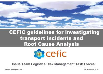 CEFIC guidelines for investigating transport incidents and Root Cause Analysis Issue Team Logistics Risk Management Task Forces Steven Beddegenoodts