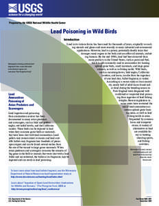 Prepared by the USGS National Wildlife Health Center  Lead Poisoning in Wild Birds Introduction  Radiograph showing scattered lead