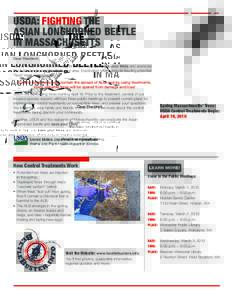 USDA: FIGHTING THE ASIAN LONGHORNED BEETLE IN MASSACHUSETTS Dear Resident, As you know, USDA is continuing its work to help you save your trees and eradicate the Asian longhorned beetle in your area. Eradication efforts 