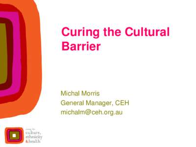 Curing the Cultural Barrier Michal Morris General Manager, CEH [removed]