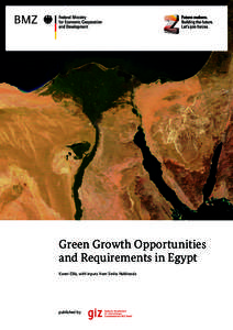 Green Growth Opportunities and Requirements in Egypt Karen Ellis, with inputs from Smita Nakhooda published by: