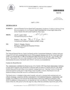 National Remedy Review Board and Contaminated Sediments Technical Advisory Group Recommendations for the Diamond Alkali Superfund Site, Lower Eight Miles of the Lower Passaic River (Focused Feasibility Study 