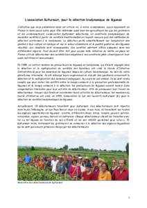 L’association Kultursaat, pour la sélection biodynamique de légumes L’initiative que nous présentons dans cet article n’a, à notre connaissance, aucun équivalent en France ni dans aucun autre pays. Elle intér