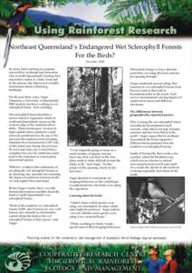 Natural history of Australia / Ecology / Sclerophyll / Eastern Yellow Robin / Paluma Important Bird Area / Birds of Australia / Mediterranean forests /  woodlands /  and scrub / States and territories of Australia