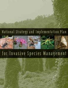 National Strategy and Implementation Plan  for Invasive Species Management Core Team Paul Ries,Team Leader; Deputy Director, State and Private Forestry, Intermountain and Northern Regions