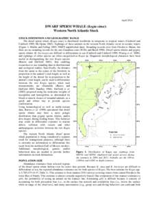 April[removed]DWARF SPERM WHALE (Kogia sima): Western North Atlantic Stock STOCK DEFINITION AND GEOGRAPHIC RANGE The dwarf sperm whale (Kogia sima) is distributed worldwide in temperate to tropical waters (Caldwell and